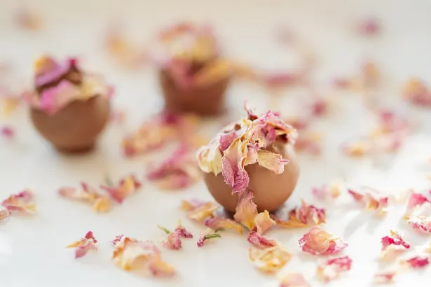 Moon Casino Aip Android/iOS